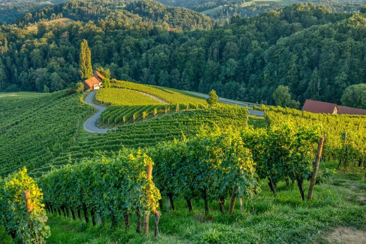 Spicnik Turisticna Kmetija Dreisiebner 빌라 외부 사진